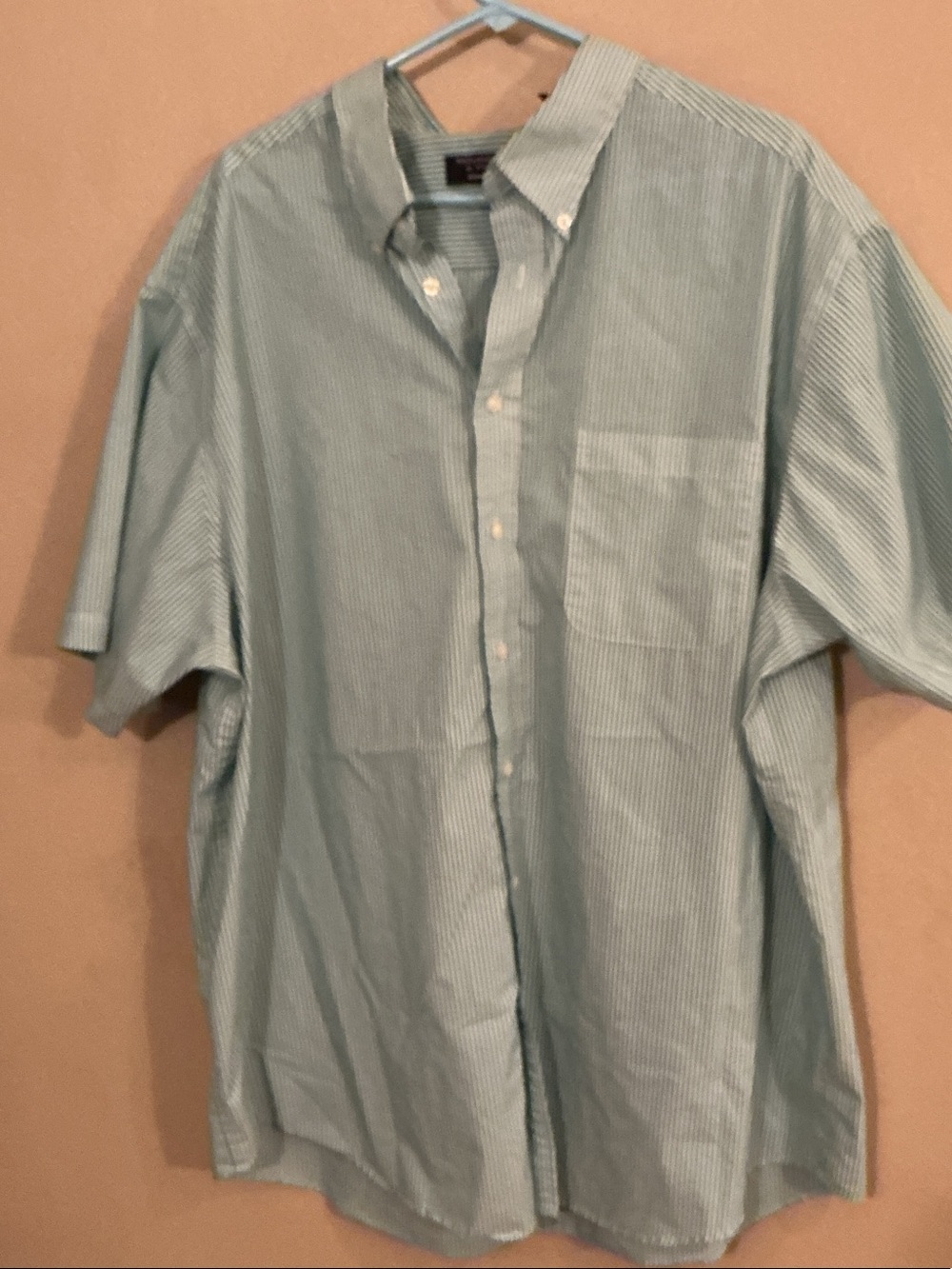 Roundtree & Yorke Men's Short-Sleeve Button-Down in Light Green Stripe